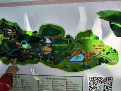 -西双版纳原始森林公园
