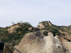-大岭沟猕猴桃谷风景区