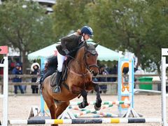 -松声马术俱乐部