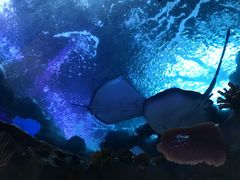 -南昌融创海世界