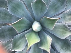 -北京植物园-展览温室