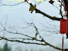 -硗碛藏寨·神木垒景区