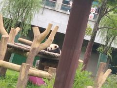 -沈阳森林动物园
