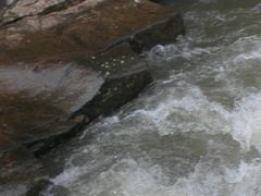 -雅鲁激流探险漂流