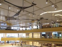 -冠军冰场CHAMPION RINK(苏州中心商场店)