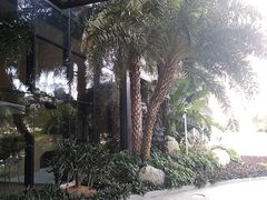-碧桂园空港凤凰酒店(广州新白云机场店)