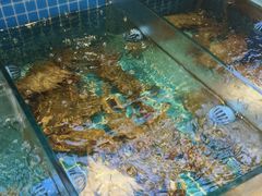 -妈妈菜舟山海鲜(定海古城店)