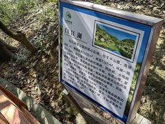 -广州白江湖森林公园