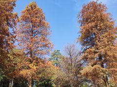 -松山湖南湖湾露营营地
