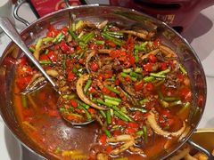 -辣可可·小炒黄牛肉(望京凯德MALL店)