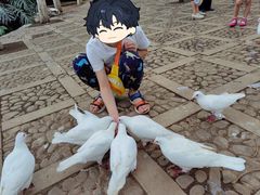 -昆明动物园