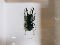 -周忆刺青原创设计定制