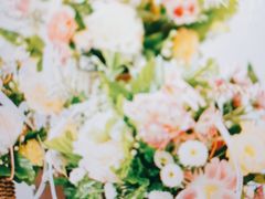 -INSDREAM FLOWER 鲜花预定·花艺培训