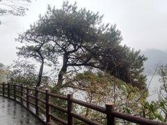 -羚羊峡古栈道森林公园