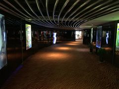 -上海金逸影城(静安大悦城店（原新恒星影城）)