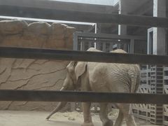 -武汉动物园