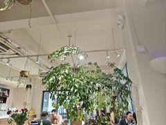 -榖屋house of flour(张江首店)