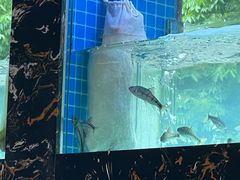 -浔味·山屿湖·正宗淳牌全鱼宴老字号