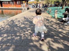 -西湖游船