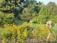 -北京西山国家森林公园