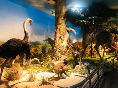 -国家自然博物馆