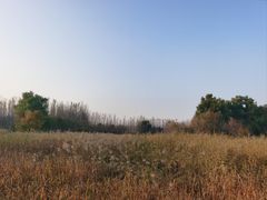 -东郊湿地公园