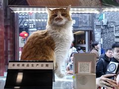 -大麒麟阁(扬州东关街店)