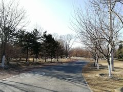 -奥林匹克森林公园北园-停车场