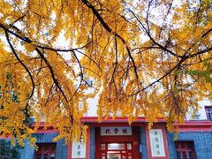 -四川大学(望江校区)