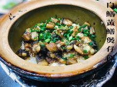 -红星光发煲仔饭(文海店)