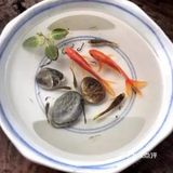 3D逼真效果下的画作～～