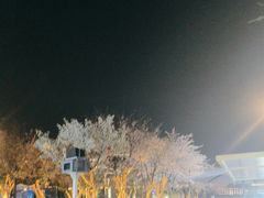 -金陵图书馆