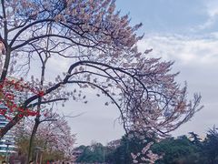 -红星桥(地铁站)