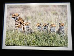 -罗红摄影艺术馆