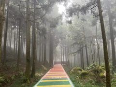 -玉苍山国家森林公园