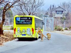 -西安秦岭野生动物园