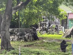 -南宁市动物园