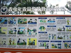 -金鸡岭桥头公园