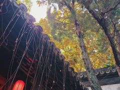 -枫泾古镇-人民公社旧址