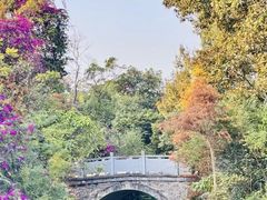 -南宁良凤江国家森林公园