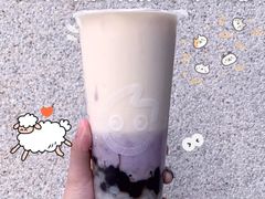 -CoCo都可(国芳百货店)