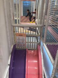 -奈尔宝·儿童乐园·亲子餐厅(华采天地店)