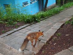 -萨尔浒风景区