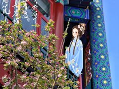 -百花深处胡同