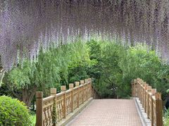 -同里国家湿地公园