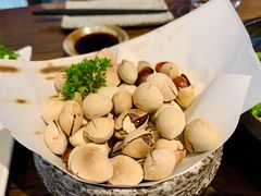 -Hatsune隐泉日式料理(三里屯太古里店)