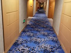 -上海虹桥西郊假日酒店