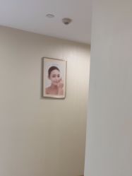 -智美品质医美
