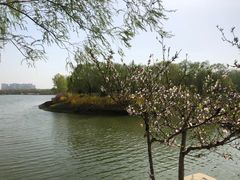 -大兴滨河森林公园