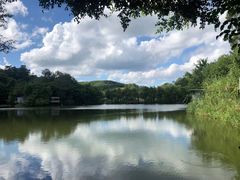 -老木棉·匠园